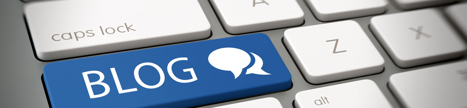 The Bluemay Blog - Bluemay Ltd